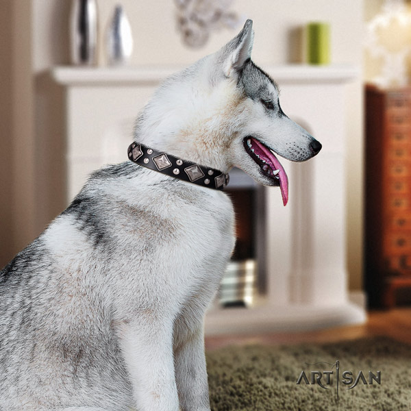 Siberian Husky leather dog collar with adornments for handy use