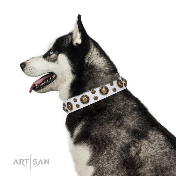 Siberian Husky easy adjustable natural genuine leather dog collar for stylish walking