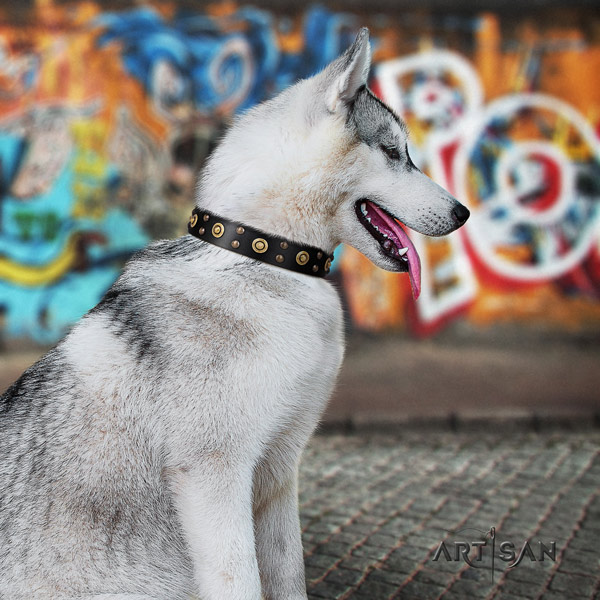 Siberian Husky full grain genuine leather dog collar with decorations for fancy walking