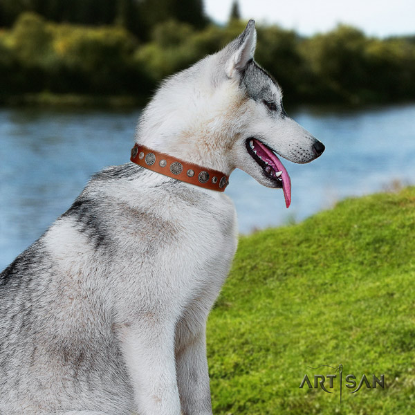 Siberian Husky full grain genuine leather dog collar with embellishments for walking