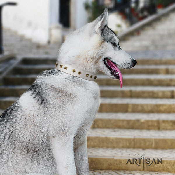 Siberian Husky leather dog collar with adornments for comfortable wearing