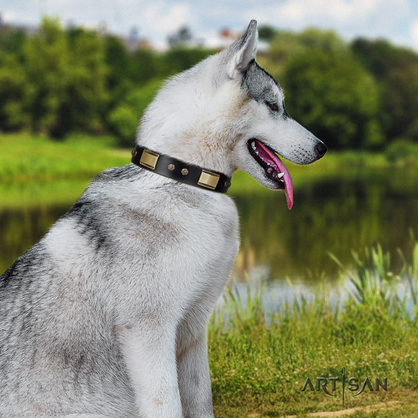 Siberian Husky full grain genuine leather dog collar with studs for easy wearing