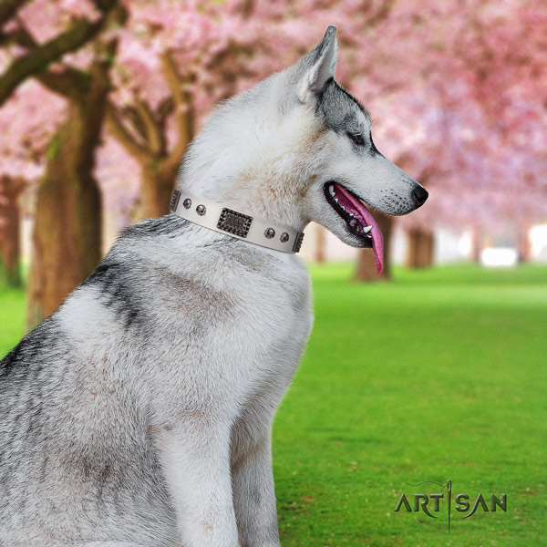 Siberian Husky natural genuine leather dog collar with embellishments for walking