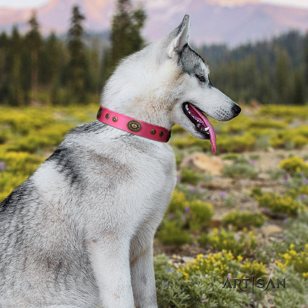 Siberian Husky genuine leather dog collar with embellishments for comfy wearing