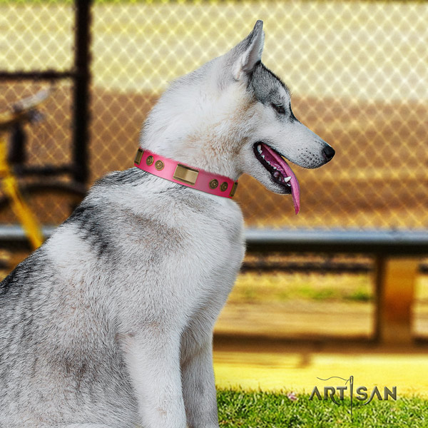 Siberian Husky natural genuine leather dog collar with decorations for easy wearing