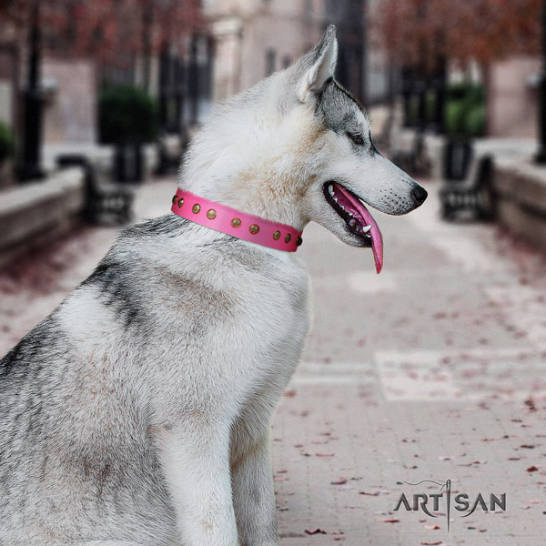 Siberian Husky full grain natural leather dog collar with decorations for comfortable wearing