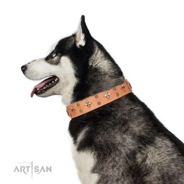 Siberian Husky unique full grain natural leather dog collar for fancy walking