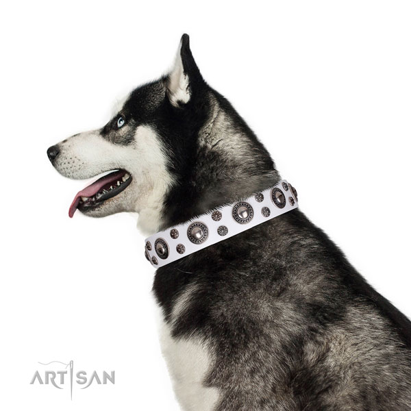 Siberian Husky convenient leather dog collar for easy wearing