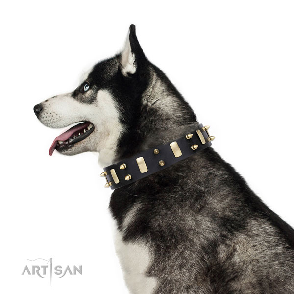 Siberian Husky handmade full grain natural leather dog collar for basic training