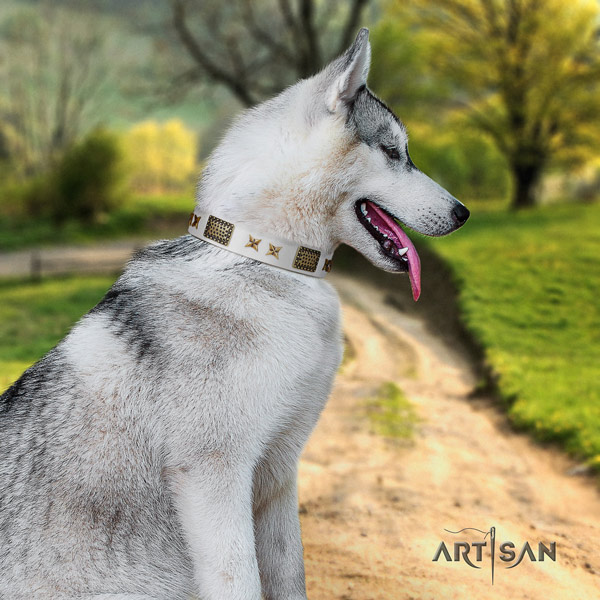 Siberian Husky natural genuine leather dog collar with adornments for handy use