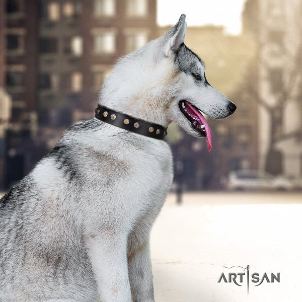 Siberian Husky full grain genuine leather dog collar with embellishments for comfortable wearing