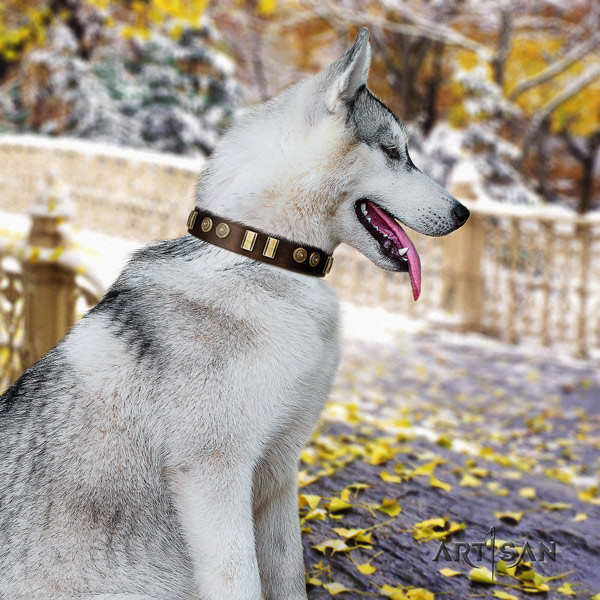 Siberian Husky leather dog collar with embellishments for easy wearing