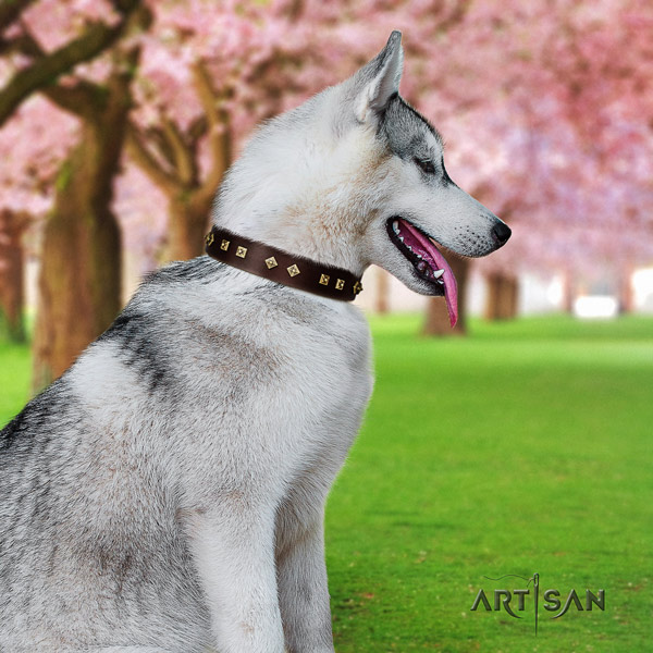 Siberian Husky full grain genuine leather dog collar with adornments for walking