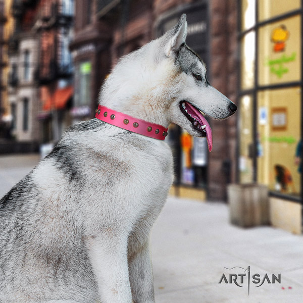 Siberian Husky leather dog collar with embellishments for handy use