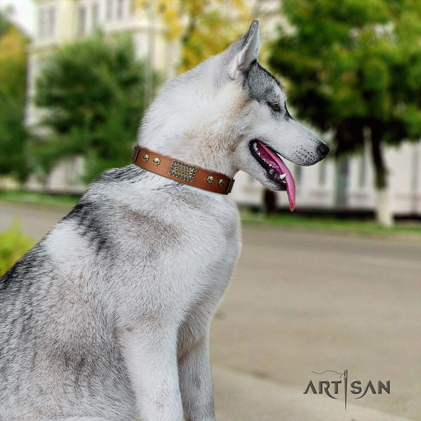 Siberian Husky natural genuine leather dog collar with decorations for everyday use