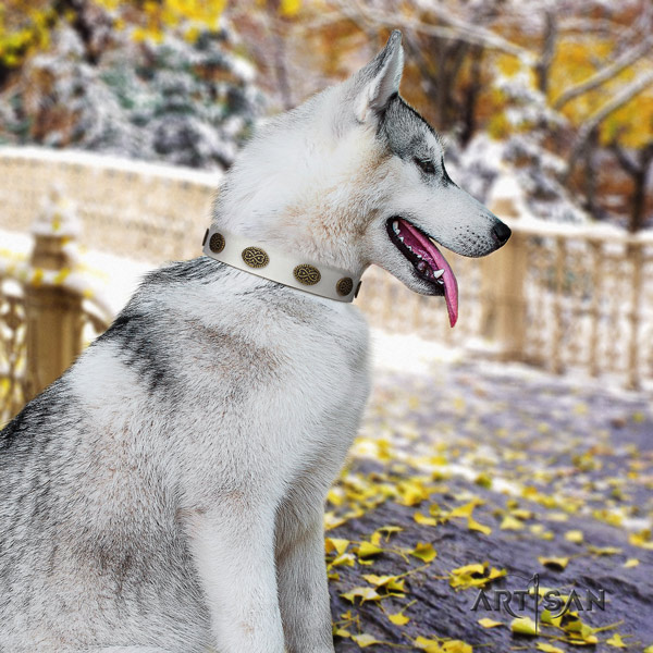 Siberian Husky natural genuine leather dog collar with decorations for handy use