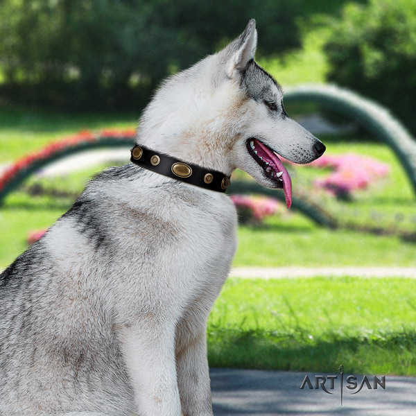 Siberian Husky natural genuine leather dog collar with embellishments for easy wearing