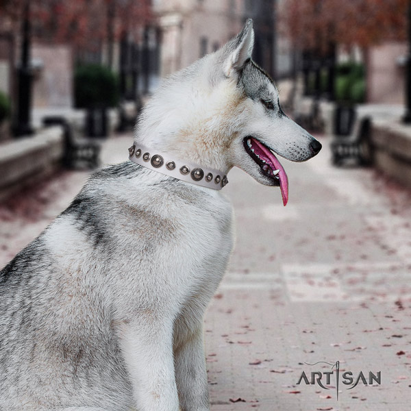 Siberian Husky natural genuine leather dog collar with embellishments for comfortable wearing