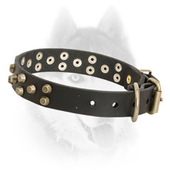 Wide leather Siberian Husky collar with brass hardware