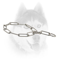 Strong Siberian Husky collar with fur-saving links