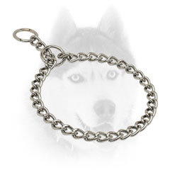 Siberian Husky training Collar of high quality
