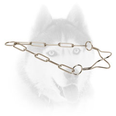 Siberian Husky Show Collar of finest quality