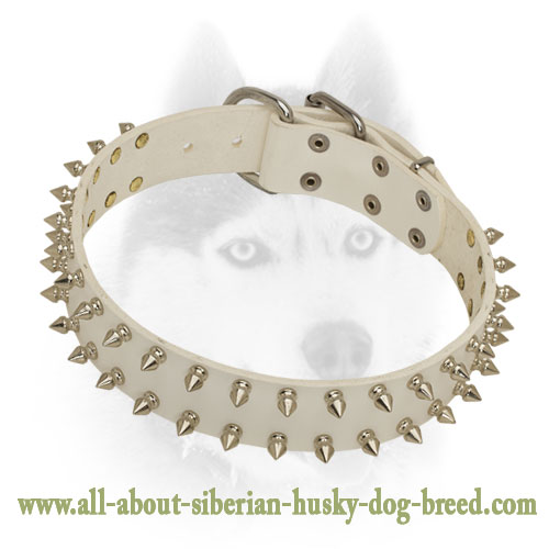Fancy white Leather Collar