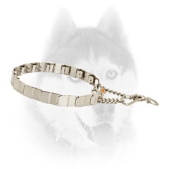 Strong Siberian Husky Collar for Better Behavior