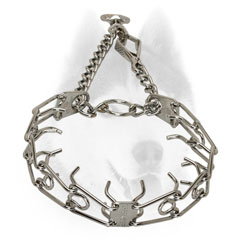 Siberian Husky Collar with swivel and 2 O-rings