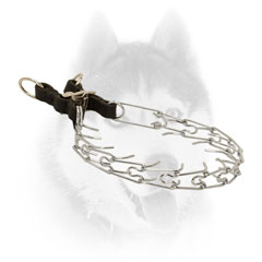 Siberian Husky Pinch Collar with     Click Lock Buckle