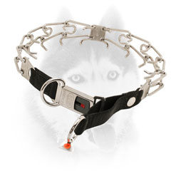 Strong Siberian Husky collar with Symmentrically Arranged Prongs