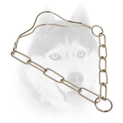 Strong Siberian Husky collar with fur-saving links