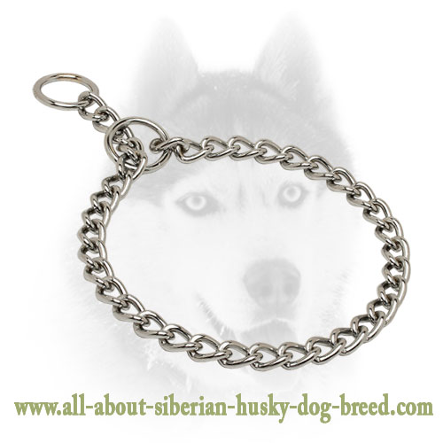 Dog training choke collar
