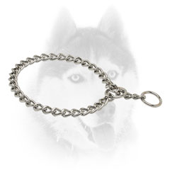 Strong Siberian Husky     collar Fur Saver