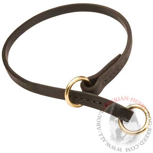 Leather Choke Collar for Training Siberian Husky