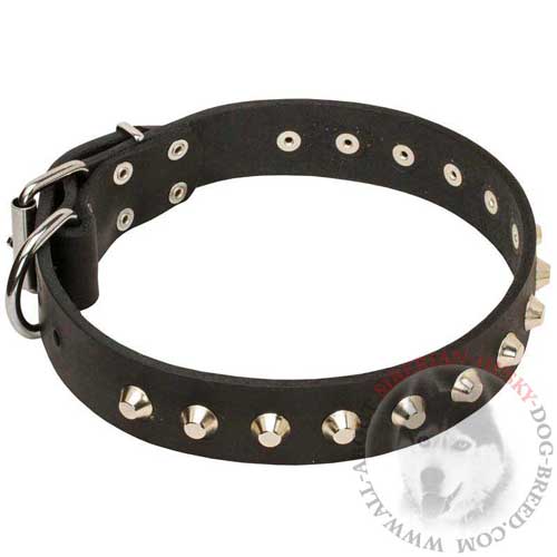 Soft Leather Siberian Husky Collar with Nickel Studs