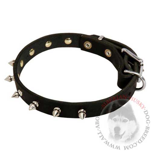 Spiked Dog Collar for Siberian Husky Style