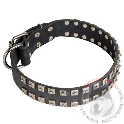 Wide Leather Siberian Husky Studded Collar for Walking