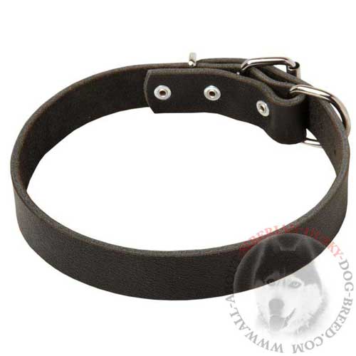 Handmade Leather Siberian Husky Collar with Rounded Edges