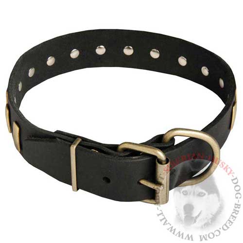 Leather Buckle Siberian Husky Collar with Special Plates