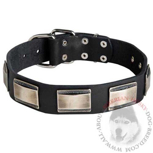 Leather Siberian Husky Collar for Daily Walks