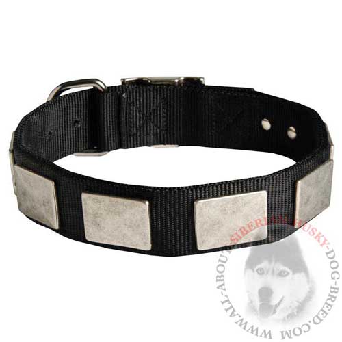 Strong Nylon Dog Collar for Siberian Husky Walking and Training