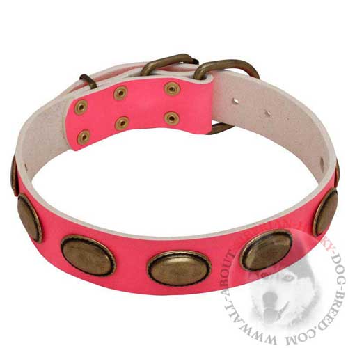 Pink Leather She-Dog Collar for Siberian Husky