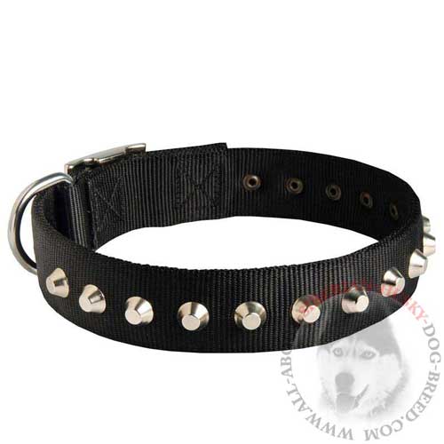 Studded Nylon Dog Collar Water Resistant