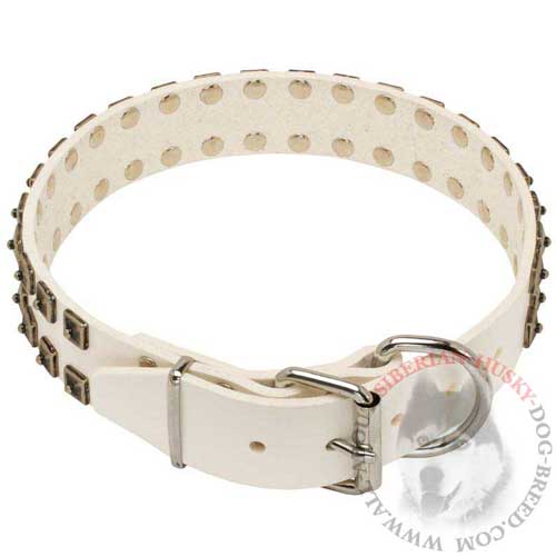 Designer White Leather Siberian Husky Collar