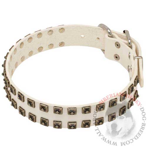 Siberian Husky Walking Leather Dog Collar
