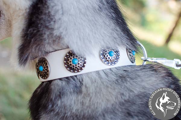 Hand Decorated White Dog Collar with Silver-like Brooches