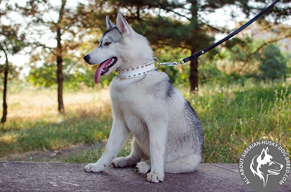 Exclusive White Spiked Leather Collar for Elegant Look