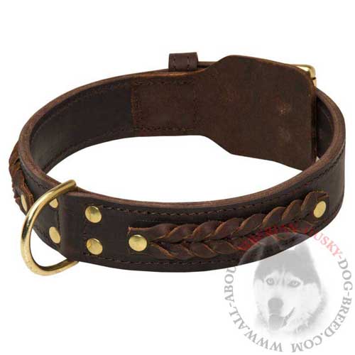 Braided Leather Dog Collar Wide Brown for Siberian Husky  Training and Walking