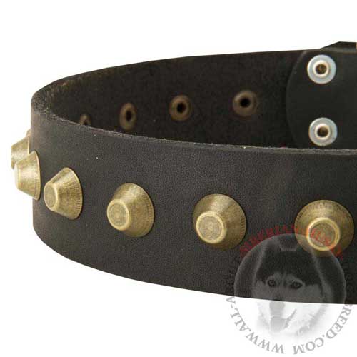 Leather Siberian Husky Collar Wide Studded with Brass Pyramids